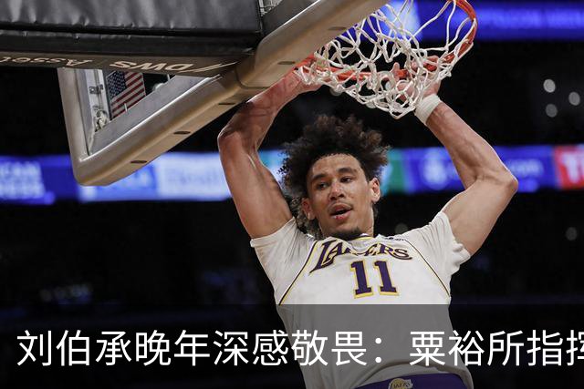 刘伯承晚年深感敬畏：粟裕所指挥的战斗令我难以决断
