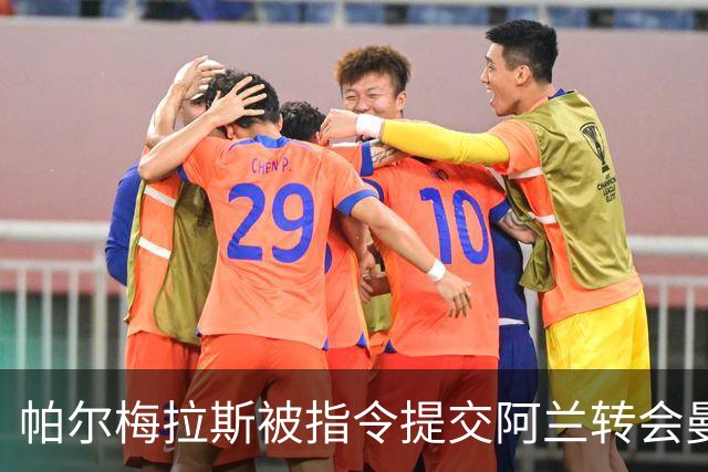 帕尔梅拉斯被指令提交阿兰转会曼城的合同细节