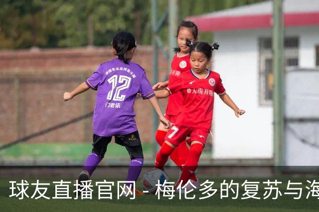 球友直播官网 - 梅伦多的复苏与海港队的重生：从失落到自信的转变